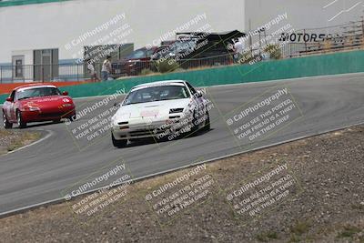 media/May-03-2025-Lucky Dog Racing (Sat) [[206de64b9d]]/Turn 4 B (1150am-130pm)/